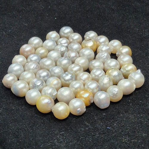 South Sea Pearl/Moti/Mukta - Medium Quality